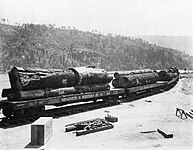 Log Cars at Bass Lake.