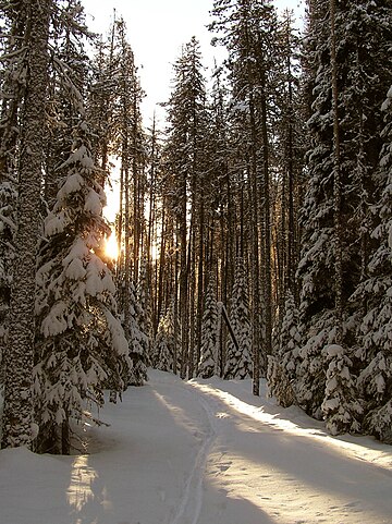 File:Sunset on Castle Creek.jpg