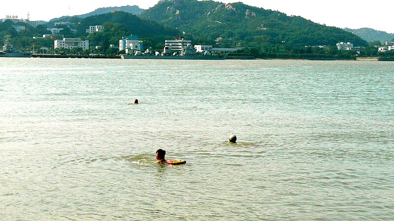 File:Swatow Swimming.JPG