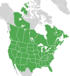 Symphyotrichum lanceolatum distribution map