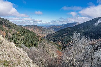 Paisagem de outono na parte montanhosa do Parque Nacional Yedigöller, Turquia. Também conhecido como Parque Nacional dos Sete Lagos, está localizado na parte norte da província de Bolu. O parque é classificado pela União Internacional para a Conservação da Natureza na categoria II. Criado em 1965, abrange uma área de 1 623 hectares. Ele é mais conhecido pelos sete lagos formados por deslizamentos de terra e por sua profusão de vida vegetal. (definição 7 952 × 5 304)