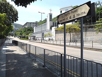 怎樣搭車去大埔道 - 景點介紹