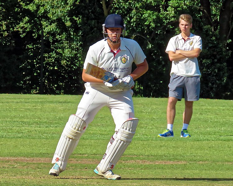 File:Takeley CC v. South Loughton CC at Takeley, Essex, England 057.jpg