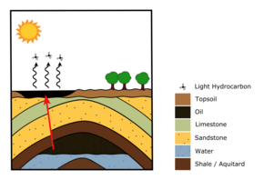 An anticlinal trap is feeding the tar pit on the surface through the vertical fracture in the strata (indicated by the red arrow). Once the crude oil reaches the surface, evaporation takes place and lighter hydrocarbons are vaporized, leaving behind sticky asphalt. Tar Pit Formation Image.png