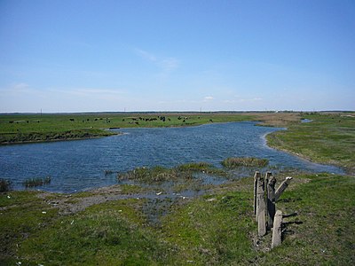 大捷爾尼夫卡河