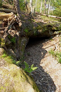 <span class="mw-page-title-main">Oldbury rock shelters</span> Cave and archaeological site in the United Kingdom