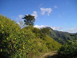 Bucari landschap