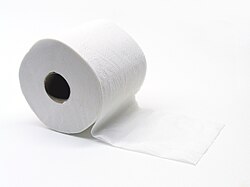 Toiletpapier (Gobran111).jpg