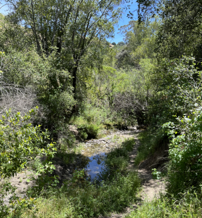 Buckhorn Creek (suba sa Tinipong Bansa, California, Alameda County)