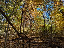 A trail within Fort Slocum Park Trail in Fort Slocum Park.jpg