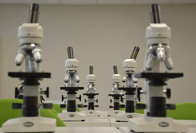 File:Two rows of microscopes.JPG