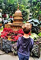 US Botanic Garden holiday display - young boy contemplating plant replica of US Capitol