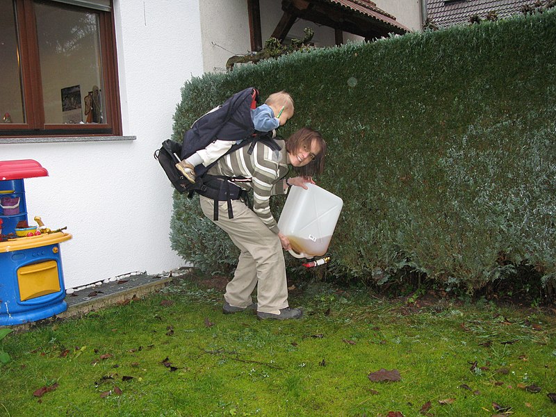 File:Urine application in the garden (1) (3156563087).jpg