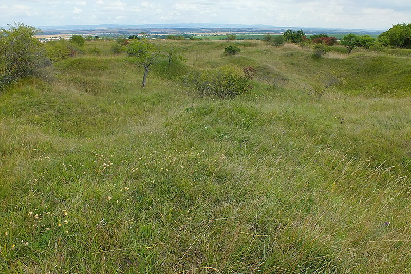 File:Vápenice – natural monument 05.jpg