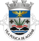 Vila Pouca de Aguiar - Herb