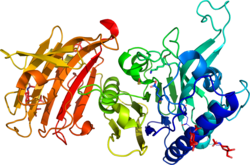 Vanin-1 structure from PDB 4CYF.png