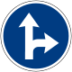 Vienna Conv. road sign D1a-V7