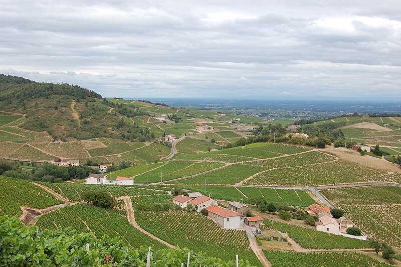 File:View from Chiroubles Cru Beaujolais.jpg