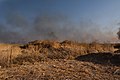 Views of the site of a massacre by the Islamic State and mass grave of Ezidis in Shingal (Sinjar) in summer of 2019 as field fires approach the location 09.jpg