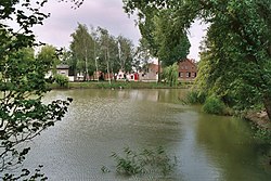 Vesnický rybník (Dorfteich) a okolní domy