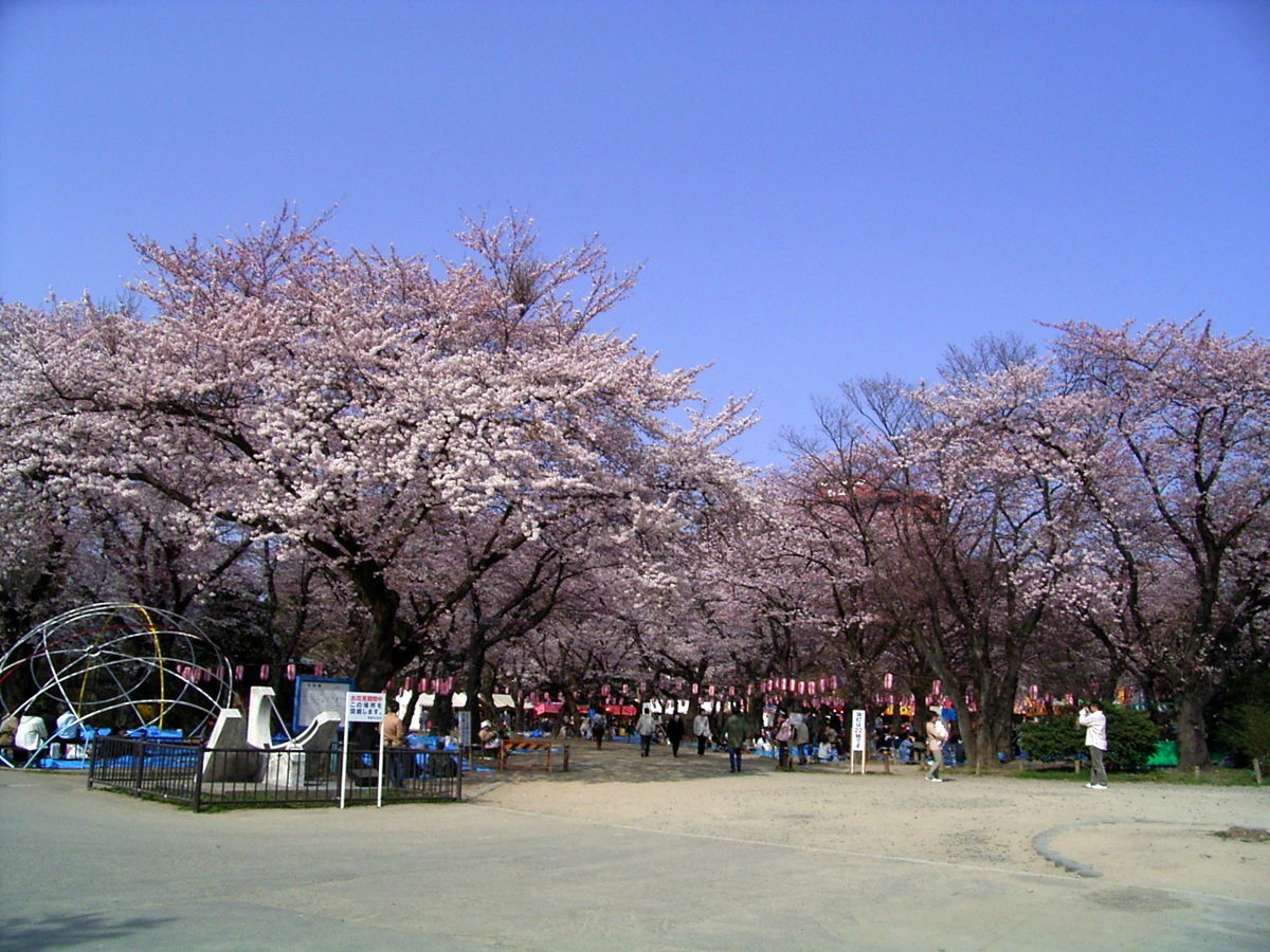 Category Nishi Park Sendai Wikimedia Commons