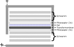 Vorschaubild für Western Blot