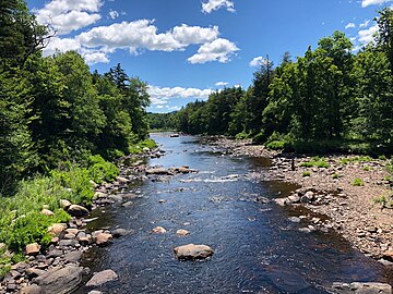 Westsacandaga.jpg 