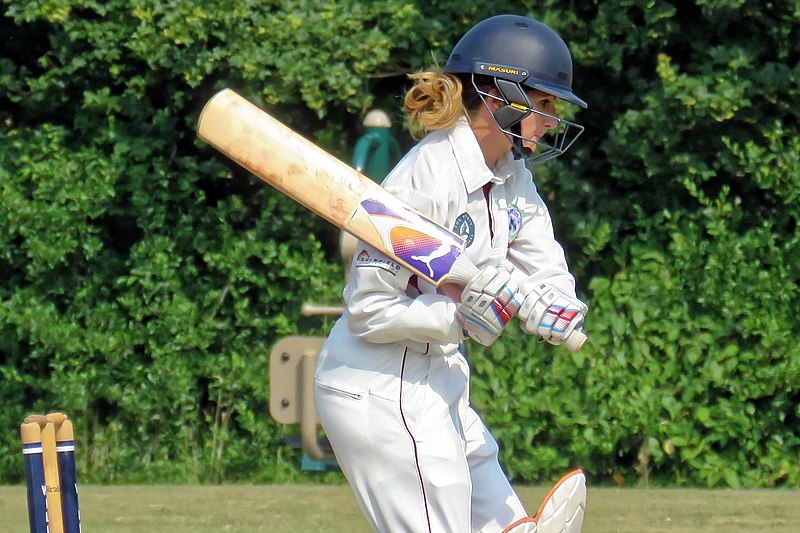 File:Willingale CC v. Willow Herbs Blackmore CC at Willingale, Essex 005.jpg