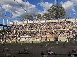 A woodchopping competition at the 2023 Sydney Royal Easter Show. The axmen are from New South Wales, Victoria, Queensland and Tasmania. Woodchopping state rivalry.jpg