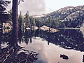 Woods-Lake-Sierra-Nevada-Alpine-Janine-Sprout.jpg