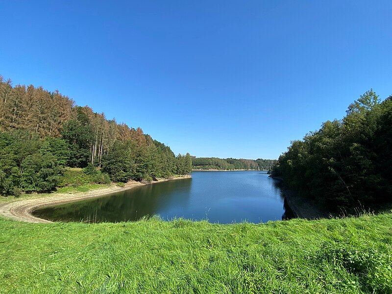 File:Wuppertalsperre vom Damm der Feldbach-Vorsperre gesehen.jpg