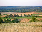 Widok ze Zbocza Fordońskiego w Jarużynie na Dolinę Dolnej Wisły