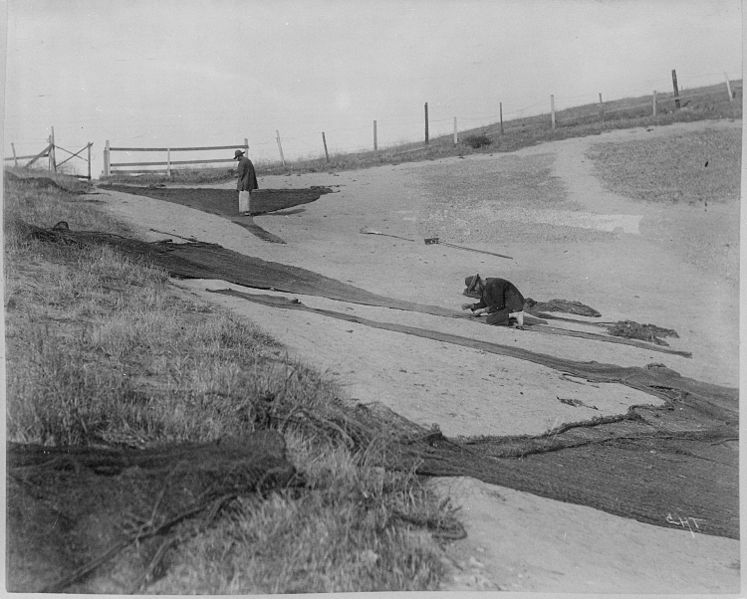 File:"Chinese drying shrimps and mending nets, ca. 1889." San Francisco Bay By Townsend. - NARA - 513087.jpg