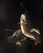 Nature morte aux poissons (Still life with fish)- Pieter Van Noort - Musée des Beaux-Arts d'Agen