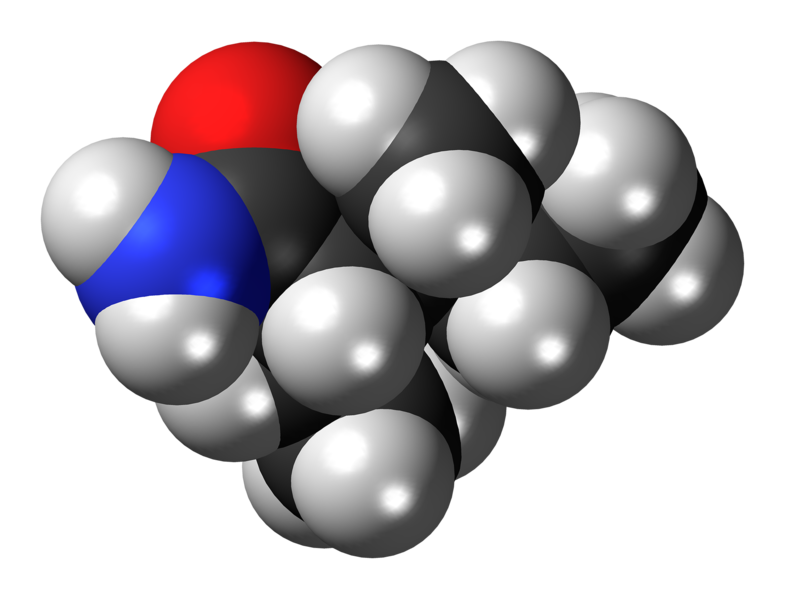 File:(S,S)-Valnoctamide molecule spacefill.png