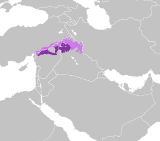 <span class="mw-page-title-main">North Mesopotamian Arabic</span> Arabic dialect of Iraq, Syria, and Turkey
