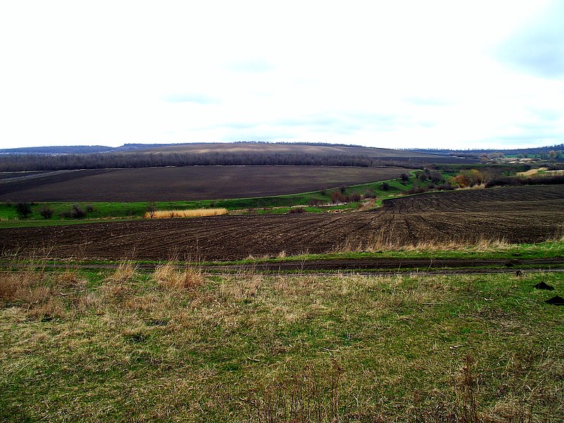 File:Местность в направлении на село Hirtop (Хыртоп), не так далеко от Флорешт - panoramio.jpg