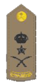 Lieutenant General (Arabic: فريق)