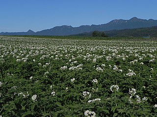 <span class="mw-page-title-main">Yūbari Mountains</span> Mountain range in the country of Japan