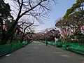 上野恩賜公園 - panoramio (22).jpg