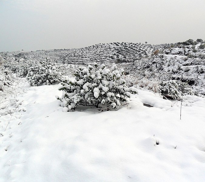 File:下白沙的路上 - panoramio.jpg