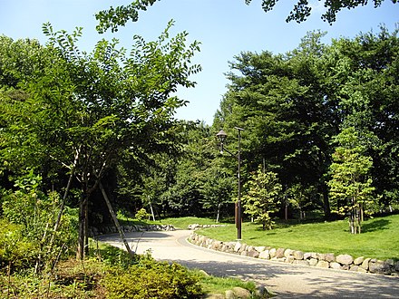 江古田の森公園 Wikiwand