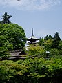 京都市 仁和寺