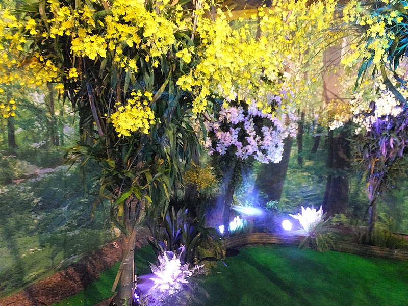 File:蘭賞 Orchid Festival - panoramio - lienyuan lee.jpg