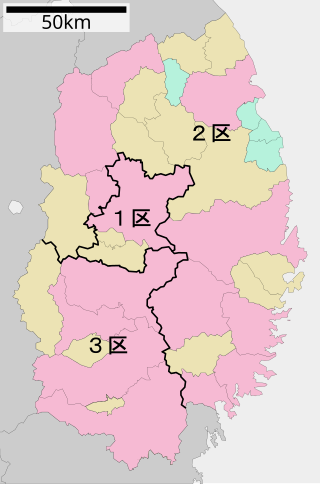 <span class="mw-page-title-main">Iwate 1st district</span>