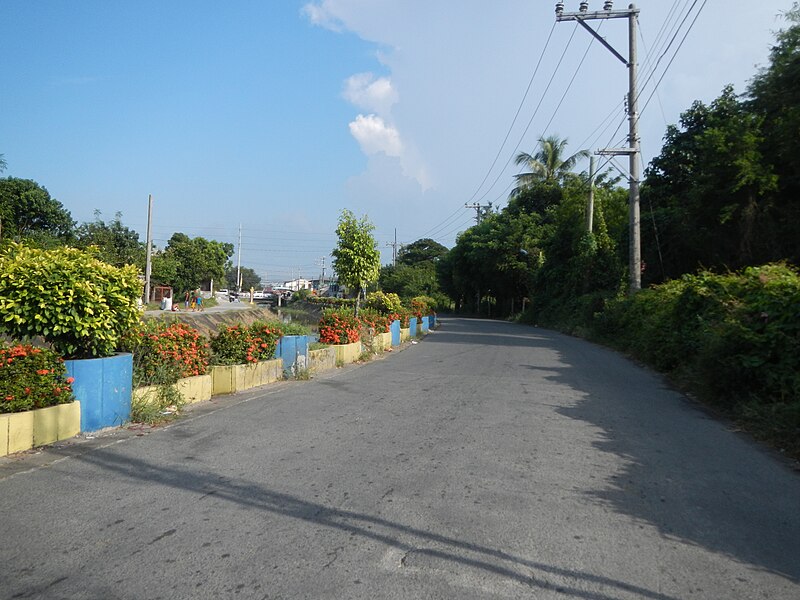 File:02170jfPinagbarilan Matangtubig Creeks Fields Baliuag Bulacan Roadfvf 44.JPG