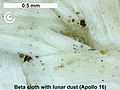 Beta cloth contaminated with lunar soil (Apollo 16)