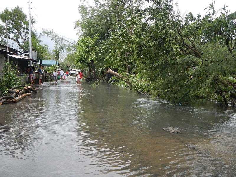 File:09782jfPoblacion Trees Floods North South Highway Moncada Tarlacfvf 29.JPG