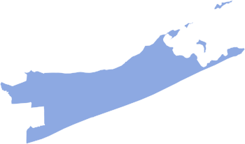 2008 United States House of Representatives Election in New York's 1st Congressional District.svg