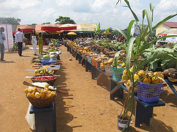 Farmers Day in Ashanti Region